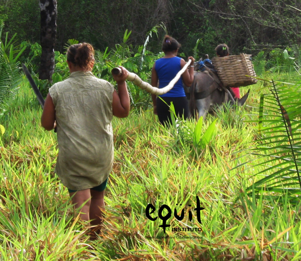 Development and gender in the global south